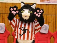 Egy győzelem, két vereség