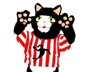 A toborzó edzésének helyszíne megváltozott!